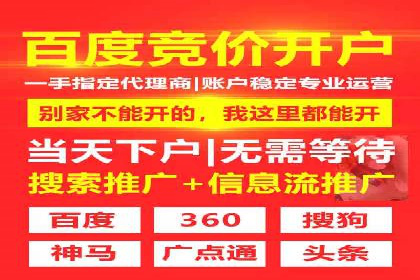 SEM托管公司案例分析：实战技巧全解析